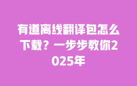 有道离线翻译包怎么下载？一步步教你2025年 一