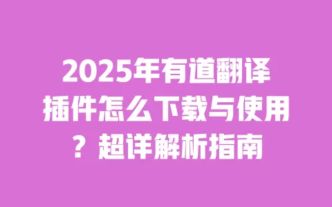 2025年有道翻译插件怎么下载与使用？超详解析指南 一
