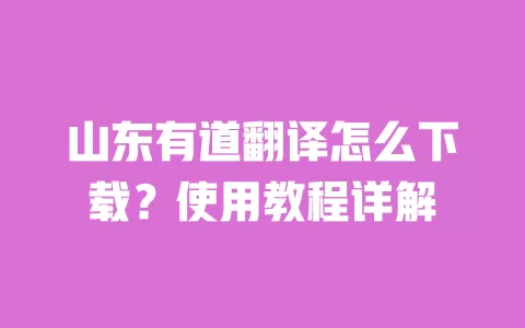 山东有道翻译怎么下载?使用教程详解 一