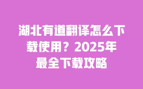 湖北有道翻译怎么下载使用?2025年最全下载攻略 一