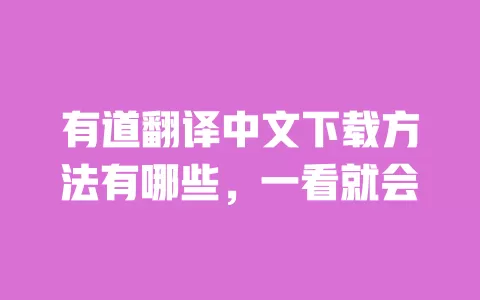 有道翻译中文下载方法有哪些，一看就会 一
