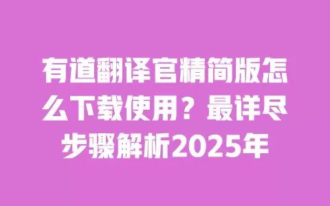 有道翻译官精简版怎么下载使用?最详尽步骤解析2025年 一