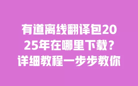 有道离线翻译包2025年在哪里下载？详细教程一步步教你 一
