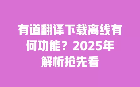 有道翻译下载离线有何功能？2025年解析抢先看 一