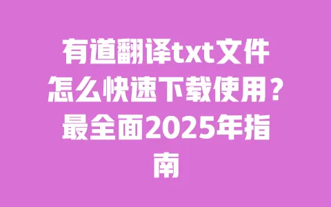 有道翻译txt文件怎么快速下载使用？最全面2025年指南 一