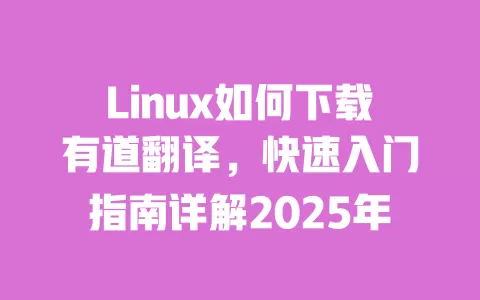 Linux如何下载有道翻译，快速入门指南详解2025年 一