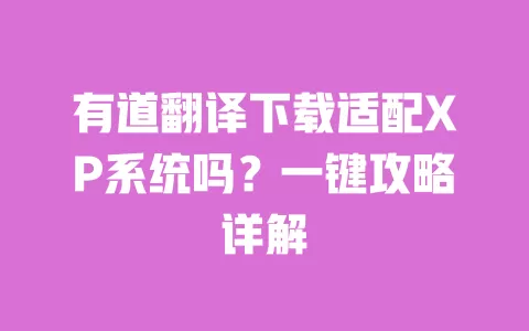 有道翻译下载适配XP系统吗?一键攻略详解 一